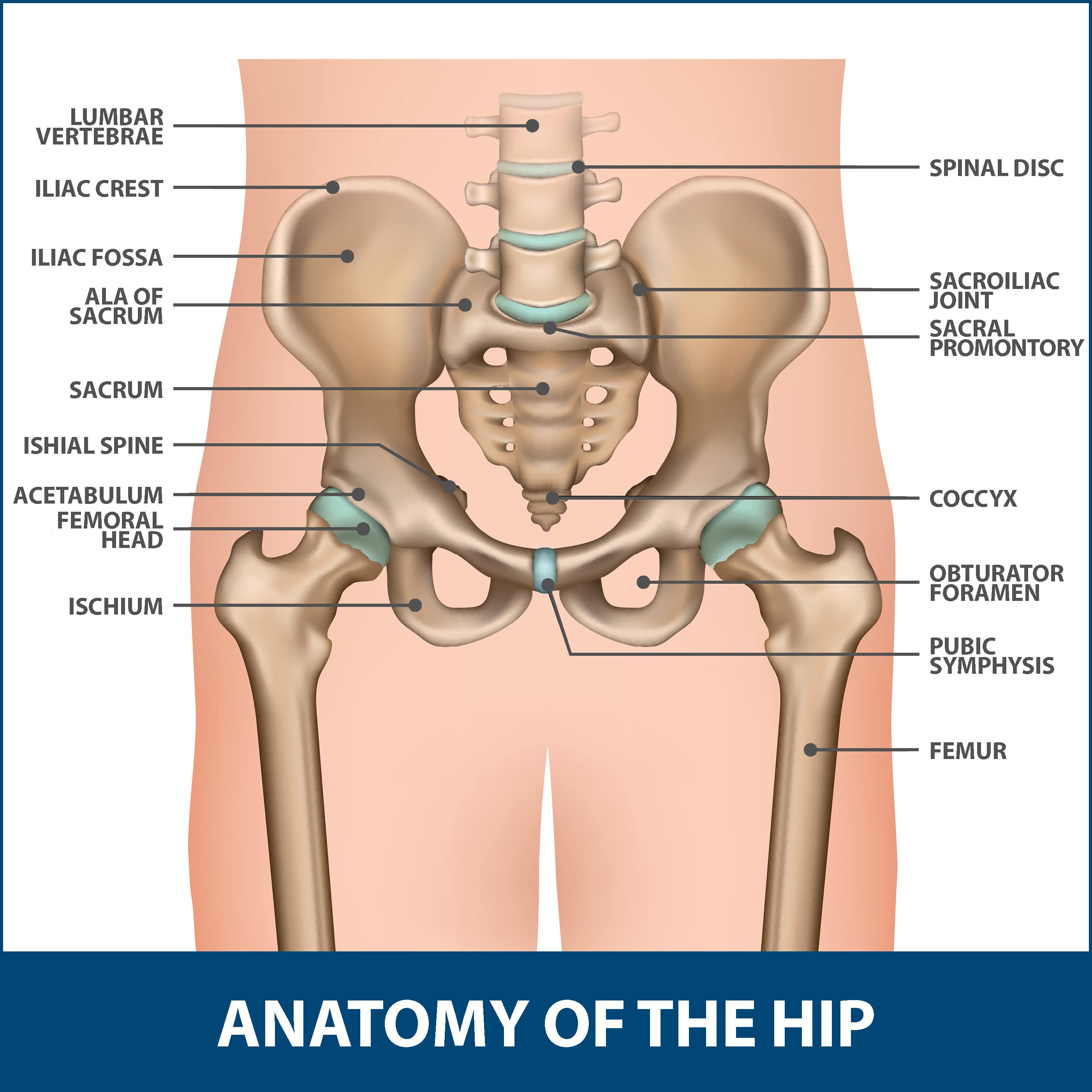 hip fracture types