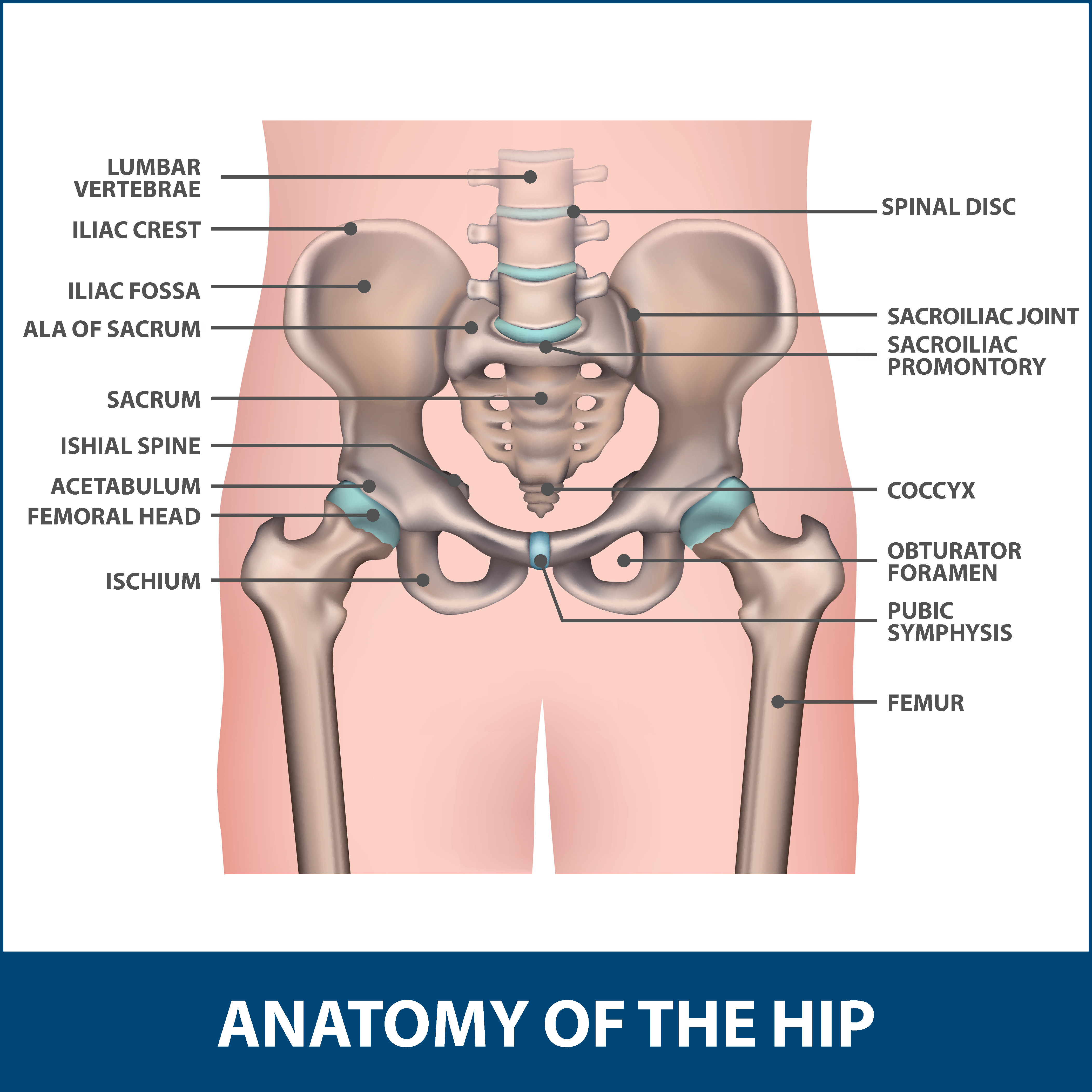 bipolar hemiarthroplasty vs total hip replacement