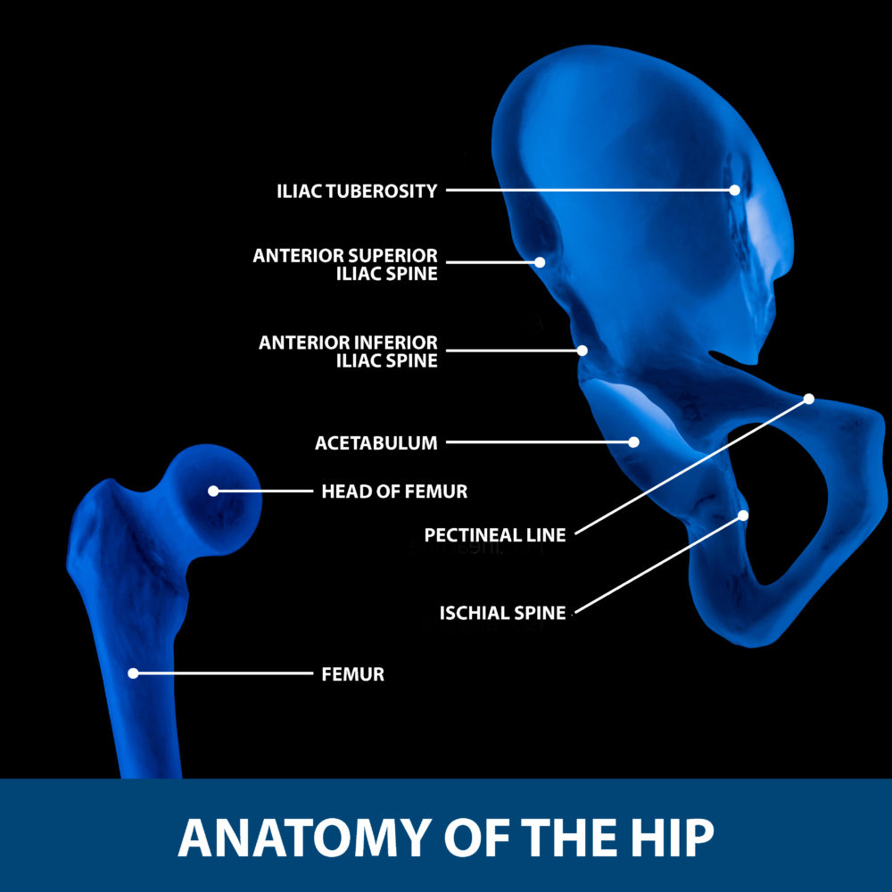 Hip Labral Tears Florida Orthopaedic Institute 