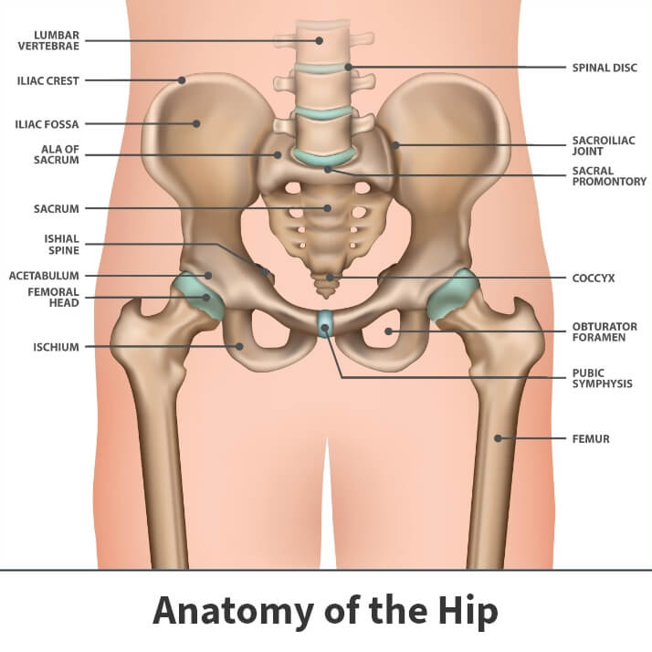 Total Hip Replacement Anterior Approach Florida Orthopaedic Institute