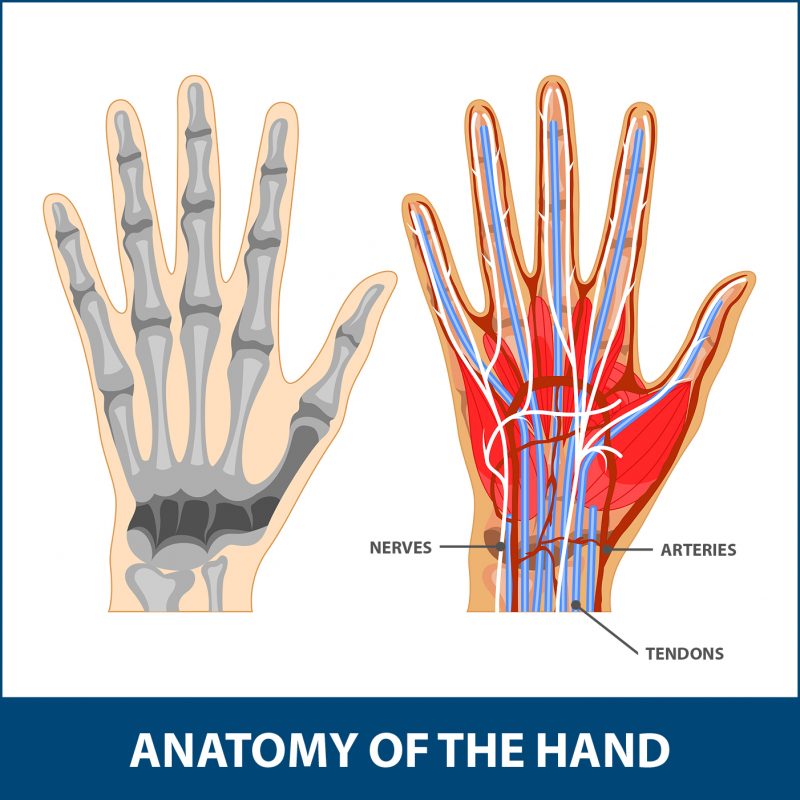 Sports Wrist and Hand Injuries | Florida Orthopaedic Institute