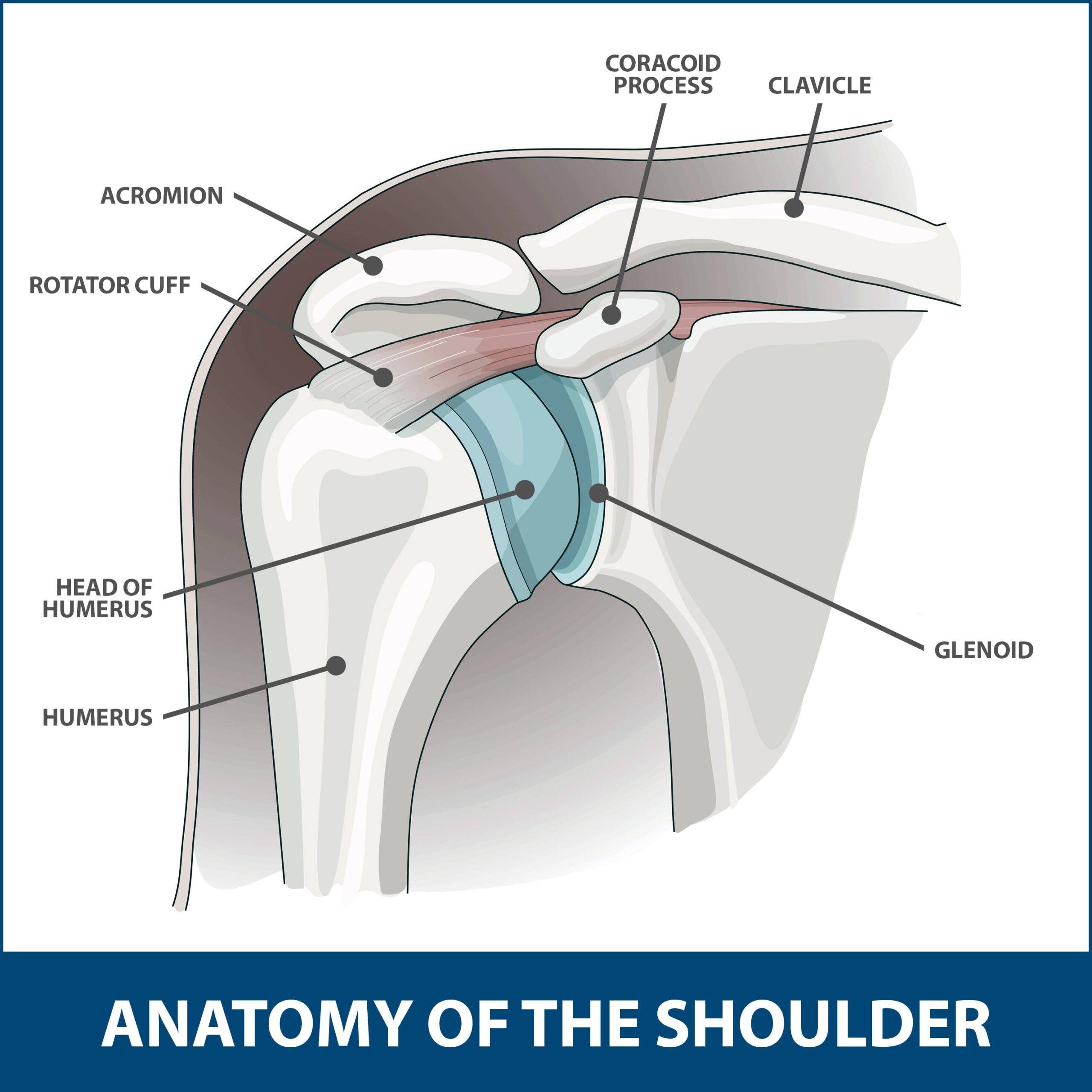 Is neck instability causing your shoulder pain? – Caring Medical Florida