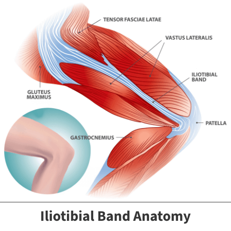 iliotibial band anatomy